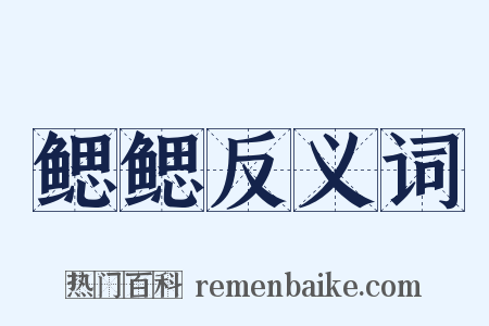 鳃鳃反义词是什么意思的图片